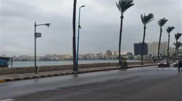 تحذير لـ 3 ظواهر.. الأرصاد الجوية تكشف تقلبات درجات الحرارة المتوقعة غداً في مصر